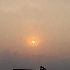 막둥이 동생 썸네일