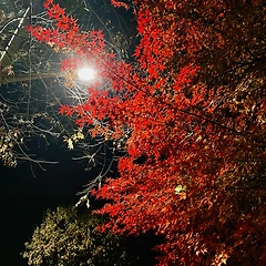 마음을 헤아려주신 어머니 썸네일