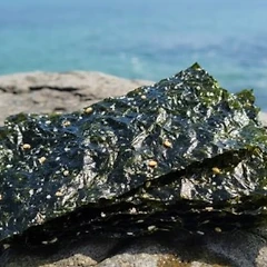 김밥― 이동의 음식,아침공복,밥의인문학 썸네일