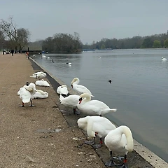 가장 영국다운 길, 바로 여기 썸네일