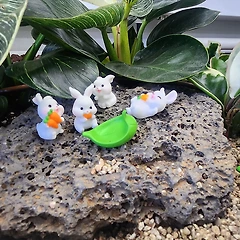 오늘은 내 인생이 먼저예요 썸네일