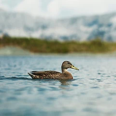 9. 혼자 있는 시간 썸네일