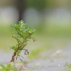 제품을 '상품'으로 만드는 시간 썸네일