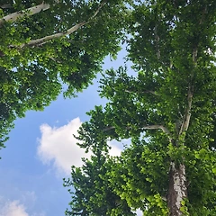 죽고 싶었던 밤, 나를 살게 한 1통의 편지 썸네일