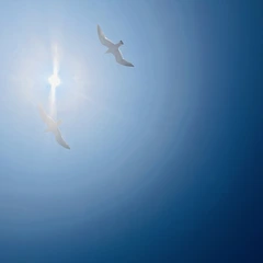                          두 번째 썸네일