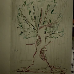 밤의 나무 썸네일