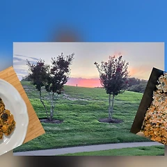 미국 친구를 위해 만든 깻잎 케이크 썸네일