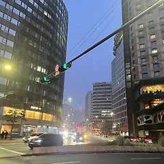 요가는 절대 안 돼요. 커피도요. 썸네일