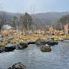 목 늘어난 티에 선글라스  썸네일