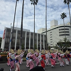 도쿠시마 스토리 2 썸네일