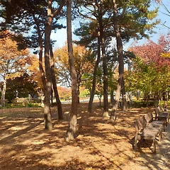 남대천의 사계 1-3 썸네일