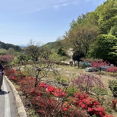 바다 민족 썸네일