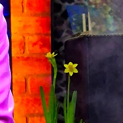 수선화가 피었다 썸네일