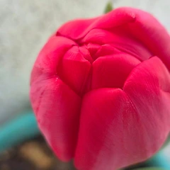 민주주의에서는 국민이 주체다 썸네일