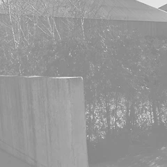 국회가 국민의 직접적 의사 반영 기구인 이유 썸네일