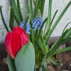 '"역"의 상대적 십성 썸네일