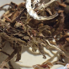 반도체, 파운드리 미래 비전에 관한 나의 상상 썸네일