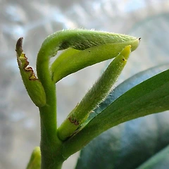 국민이 주체이면, 국민은 관성이다 -전환적 사유 썸네일