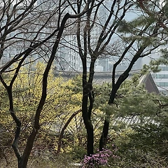 2026.03.31-04.01 썸네일