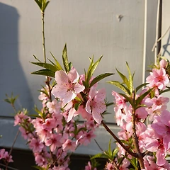 구제의 시간  썸네일