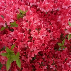 이유를 알려주세요 썸네일