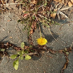 끝까지 함께야  썸네일