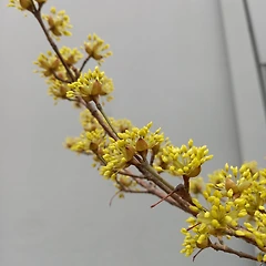 멋진 은유 썸네일