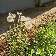 뻔하지 않은 비행 썸네일