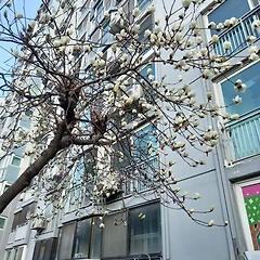 당신은 상상력을 어디서 꺼내오나요 썸네일