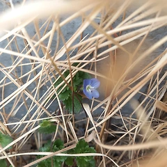 조금만 기다려 주세요  썸네일