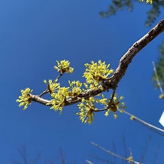 역행의 그림자 썸네일