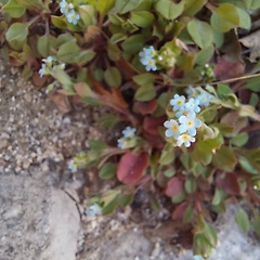 잎샘과 함께한 일요일  썸네일