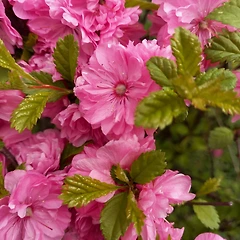 흐릿한 경계선을 찾아서 썸네일