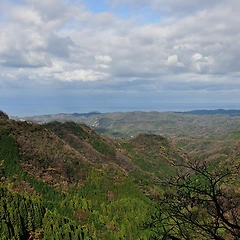 종아격의 최고봉, 아우생아종재격 썸네일