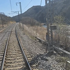 황혼의 꽃, 청춘의 꽃 썸네일