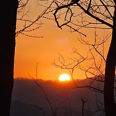 별이 없는  하늘 썸네일