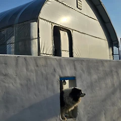 인생의 방심 썸네일