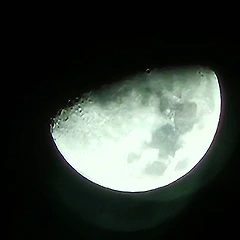 달포를 건너는 강 썸네일