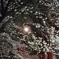 사랑은 아픔이 아니기를 썸네일