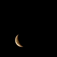 하늘의 태양은 하나 썸네일