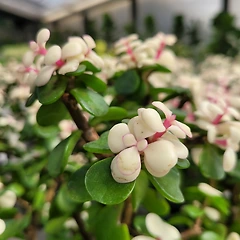 나는 월급만큼 존재했다 썸네일