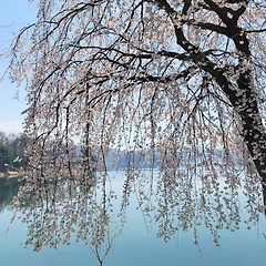 나는 어디서나 나였다 썸네일