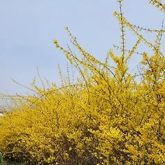 나는 왜 늘 나를 뒤로 미웠을까 썸네일