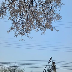 이제야 내 삶을 돌아봅니다 썸네일