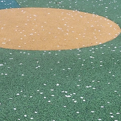 명함이 사라진 자리 썸네일