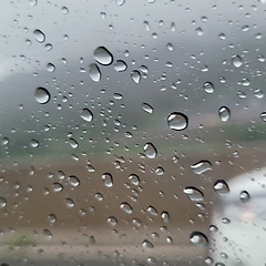 흔들리면서도 나는 나를 놓지 않았다 썸네일