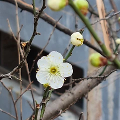 일기를 쓰면서 단정해지는 시간들 썸네일