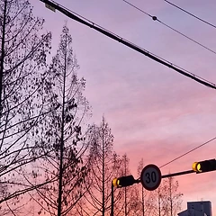 보고 싶은 사람들 썸네일