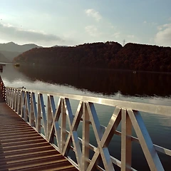 이상한 일이 벌어지기도 해요. 썸네일