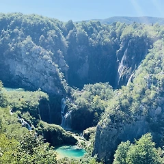 당황한(STARTLED) 썸네일